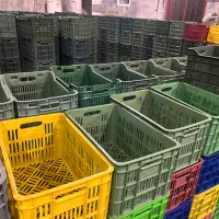 سبد