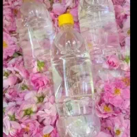 گلاب  تازه خانگی