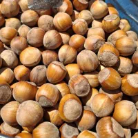 ۲۰۰کیلو فندوق درجه ۱
