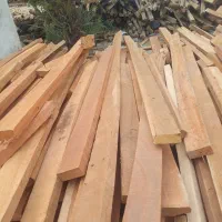 هرس و سر برداری درختان