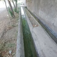 باغچه-ویلا-رویای-بهشت-کوچه-باغ-لنگرود-10متری-دنج