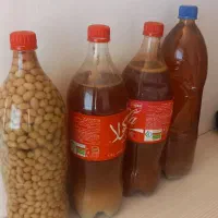 آبغوره اصلی و کاملا ارگانیک