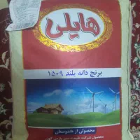 برنج هایلی
