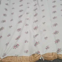 تشک پشمی