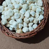 کشک گوسفندی