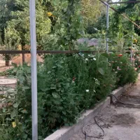 باغ-1175متر-فردیس-خوشنام