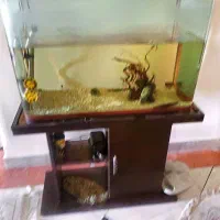 آکواریوم