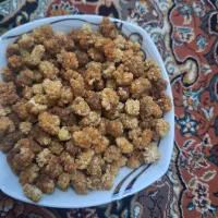 توت خشک