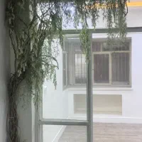 درخچه