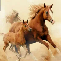 استخدام کارگر ساده