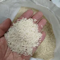 برنج هاشمی ممتاز گیلان
