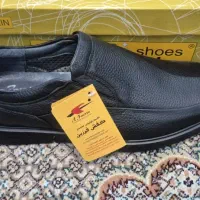 کفش فرزین|کیف، کفش، کمربند|تهران, لویزان|دیوار