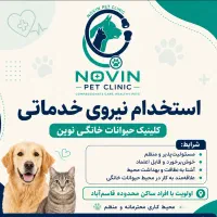 نیروی نظافت و خدمات کلینیک