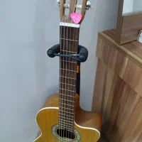 گیتار parsi همراه پایه و کیف