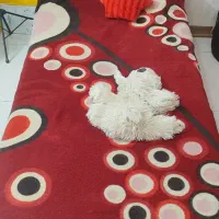 تخت خواب یک نفره