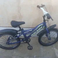 دوچرخه
