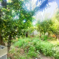 ویلا-زمین-باغ-باغچه-کردان-زعفرانیه-تهراندشت-شهرکی