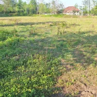 اجاره ی زمین 7500 متر برای گلخانه یا غیره
