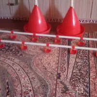ابخوری مرغ و خروس
