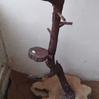 نشیمنگاه مخصوص عروس و راهب و مرغ عشق و ملنگو و...