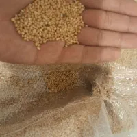 ارزن خارجی تمیز و بوجاری شده