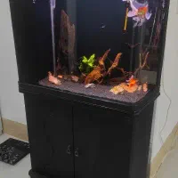 آکواریوم حرفه ای