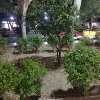 کار کشاورزی
