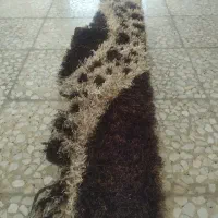 روداشبورت ایسوزو