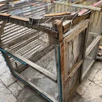 قفس پرنده
