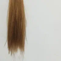 مو مصنوعی دم اسبی