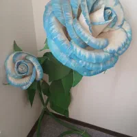 گل کنار سالنی