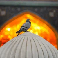 تورکاروان زیارتی مشهد مقدس