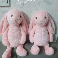 دوعددخرگوشی نونو