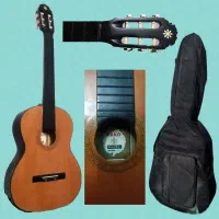 گیتار پاکو Pako