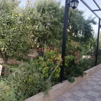 باغچه۵۲۰مترسندارآسفالت وآب برق جاده کلات گنبدباز