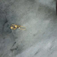گوشواره گم کردم