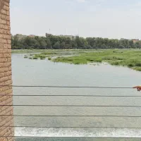 استخدام سرایدار
