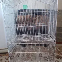 قفس پرنده
