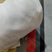 کشباف سفید