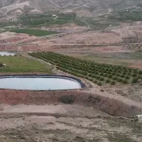 باغچه-باغ-مقصودآباد-جهرم