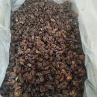 فروش عمده کشمش مویز خرما مخصوص آبگیری