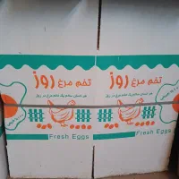 کارتن تخم مرغی