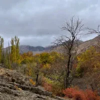 فروش زمین