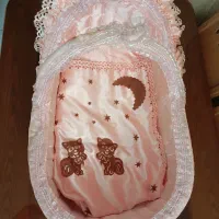 کریر و سبد نگهداری کودک
