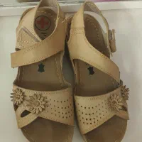 تعدادی کفش