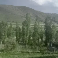 فروش زمین ۸۷۰متری سند ششدانگ روستای طهنه