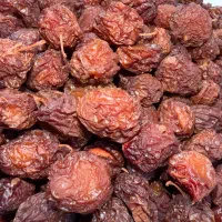 الو خورشتی تازه