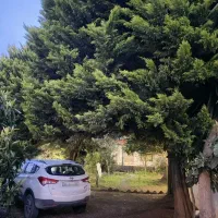 باغ ویلای شخصی ـ ۶۰۰ متر در سرخرود ـ سند تک برگ