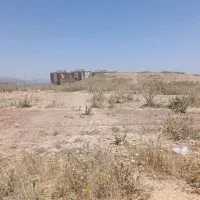 زمین کشاورزی