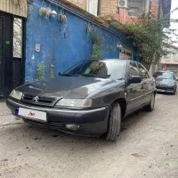 زانتیا نوک مدادی